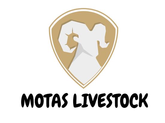Motas Livestock